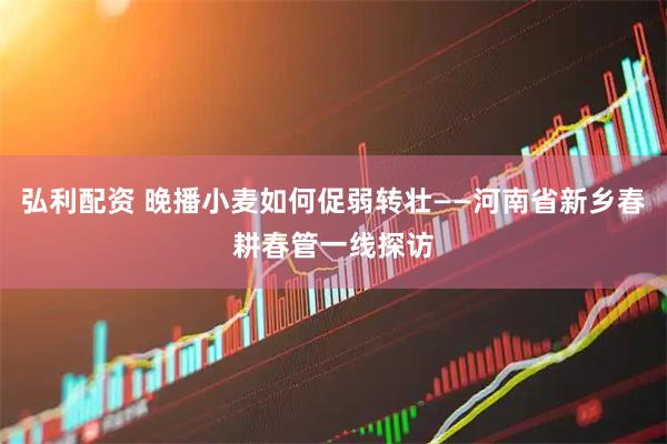 弘利配资 晚播小麦如何促弱转壮——河南省新乡春耕春管一线探访