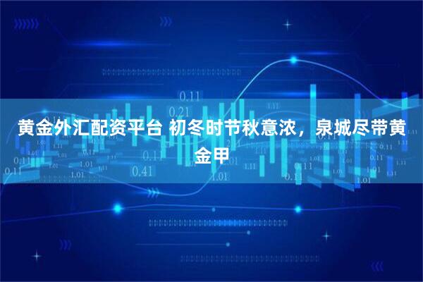 黄金外汇配资平台 初冬时节秋意浓，泉城尽带黄金甲